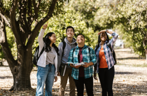 Four students stand outside in front of trees and look up