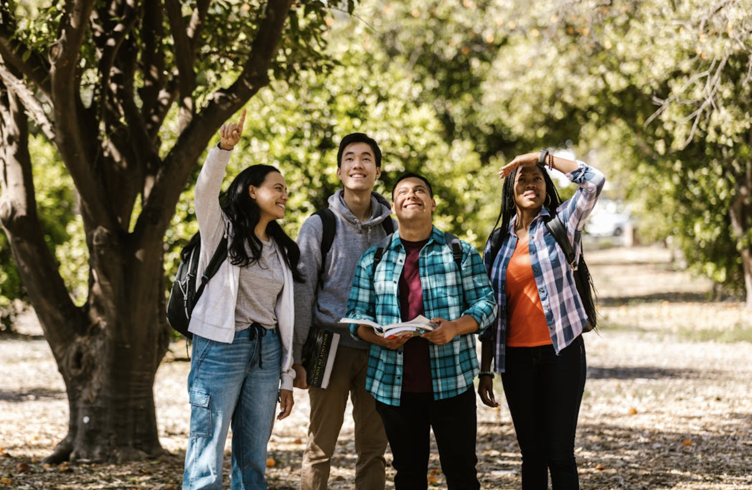 A group of four students walk outside on a sunny day with trees behind them