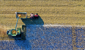 Farm equipment in a field
