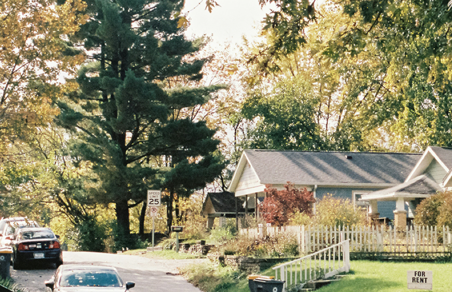 Houses on a street with trees